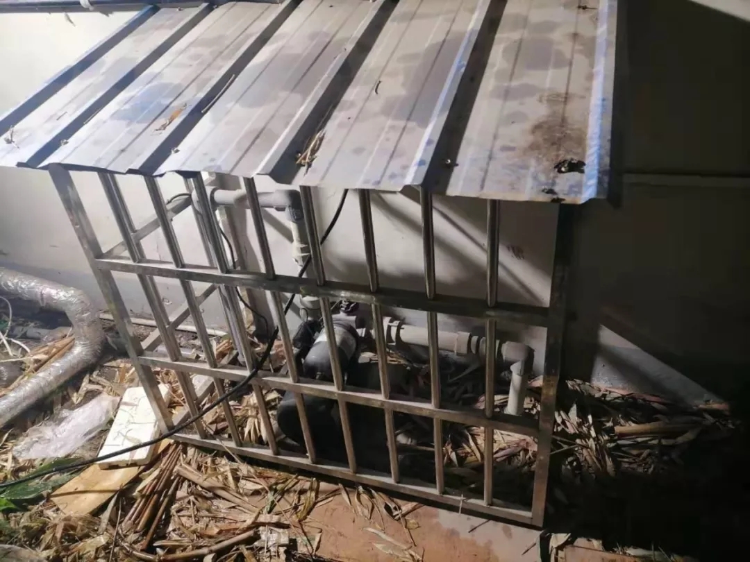 1582542882368402.jpg 1582542882368402.jpg